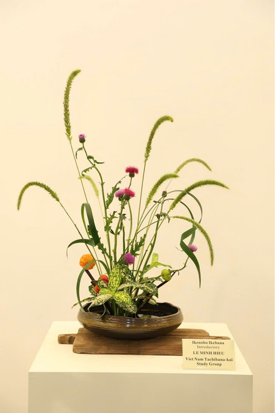 cam-hoa-nghe-thuat-ikebana-3-1726376946.png