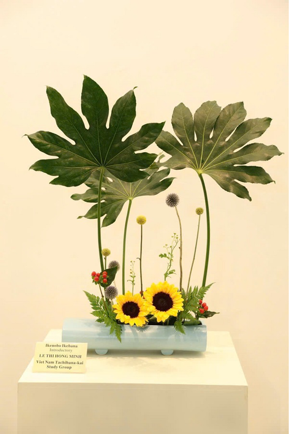 cam-hoa-nghe-thuat-ikebana-6-1726376947.png