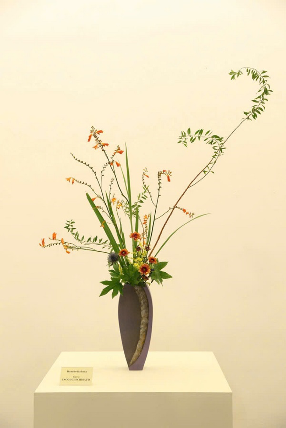 cam-hoa-nghe-thuat-ikebana-7-1726376944.png