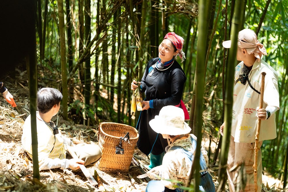 chi-thong-huong-dan-hai-mang-ynes-1751009339.jpg