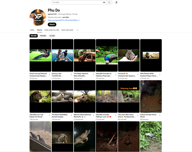phu-do-1-1751334344.png