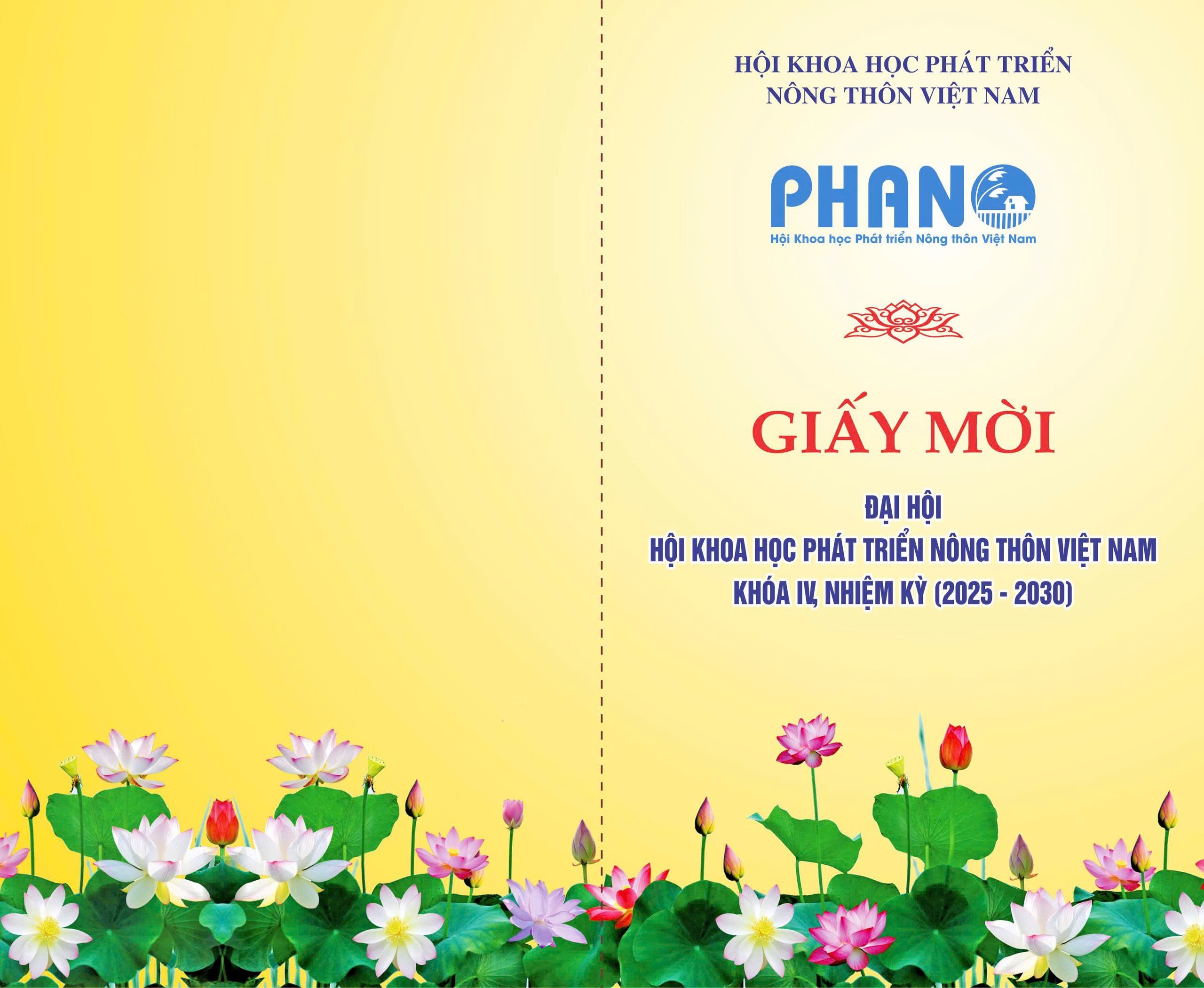 giay-moi-1751966663.jpg