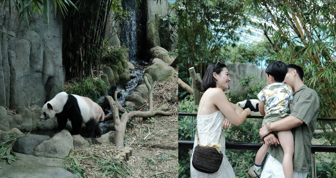 anh-chup-man-hinh-2025-07-29-luc-122006-1753766552.png