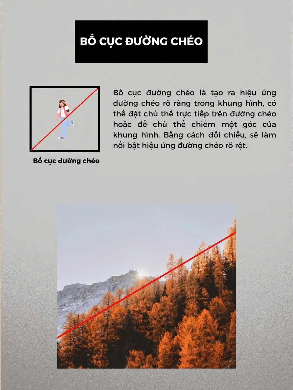 bo-cuc-duong-cheo-1755575031.jpg