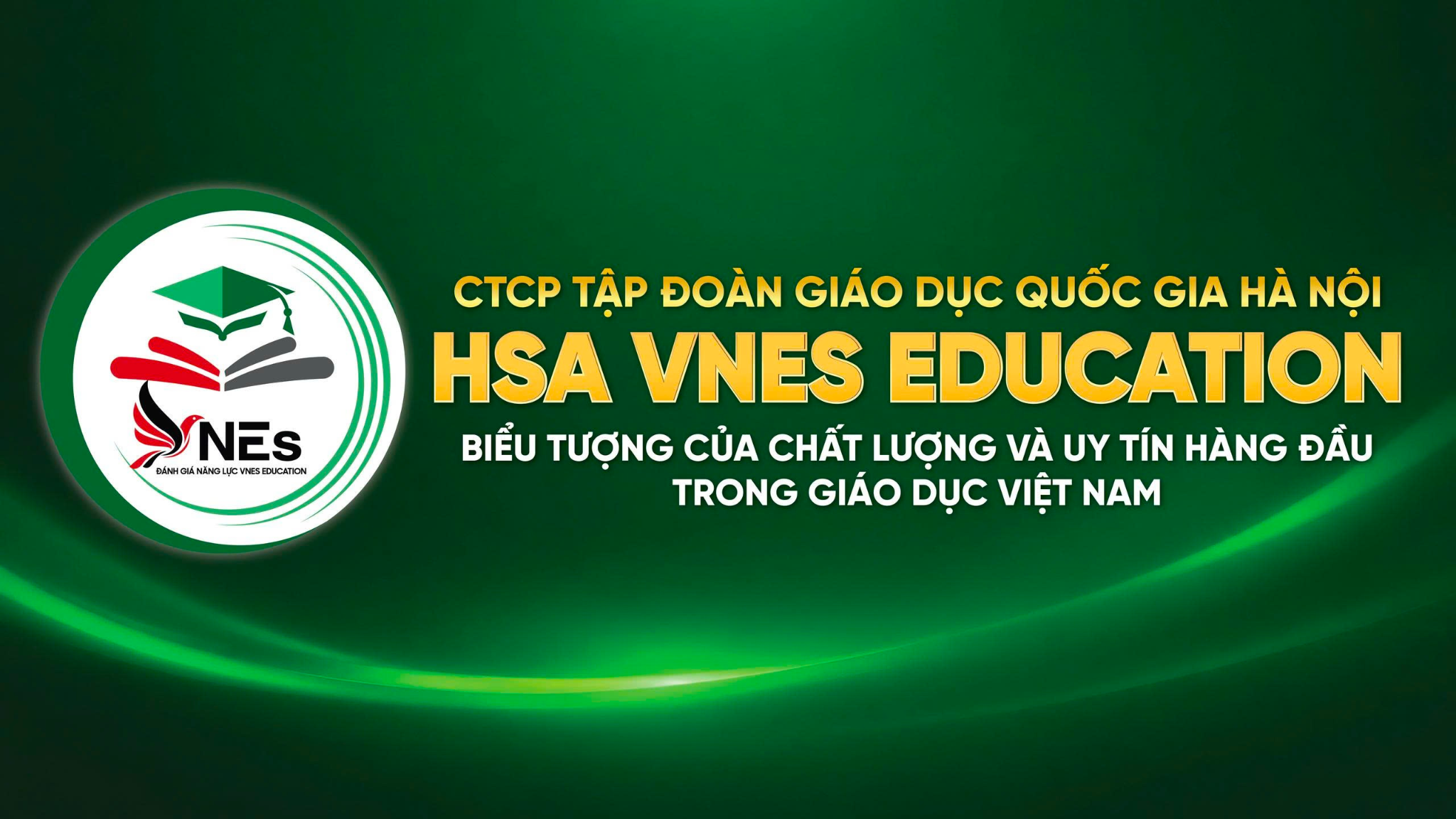 hsa-vnes-1-1790674012.png