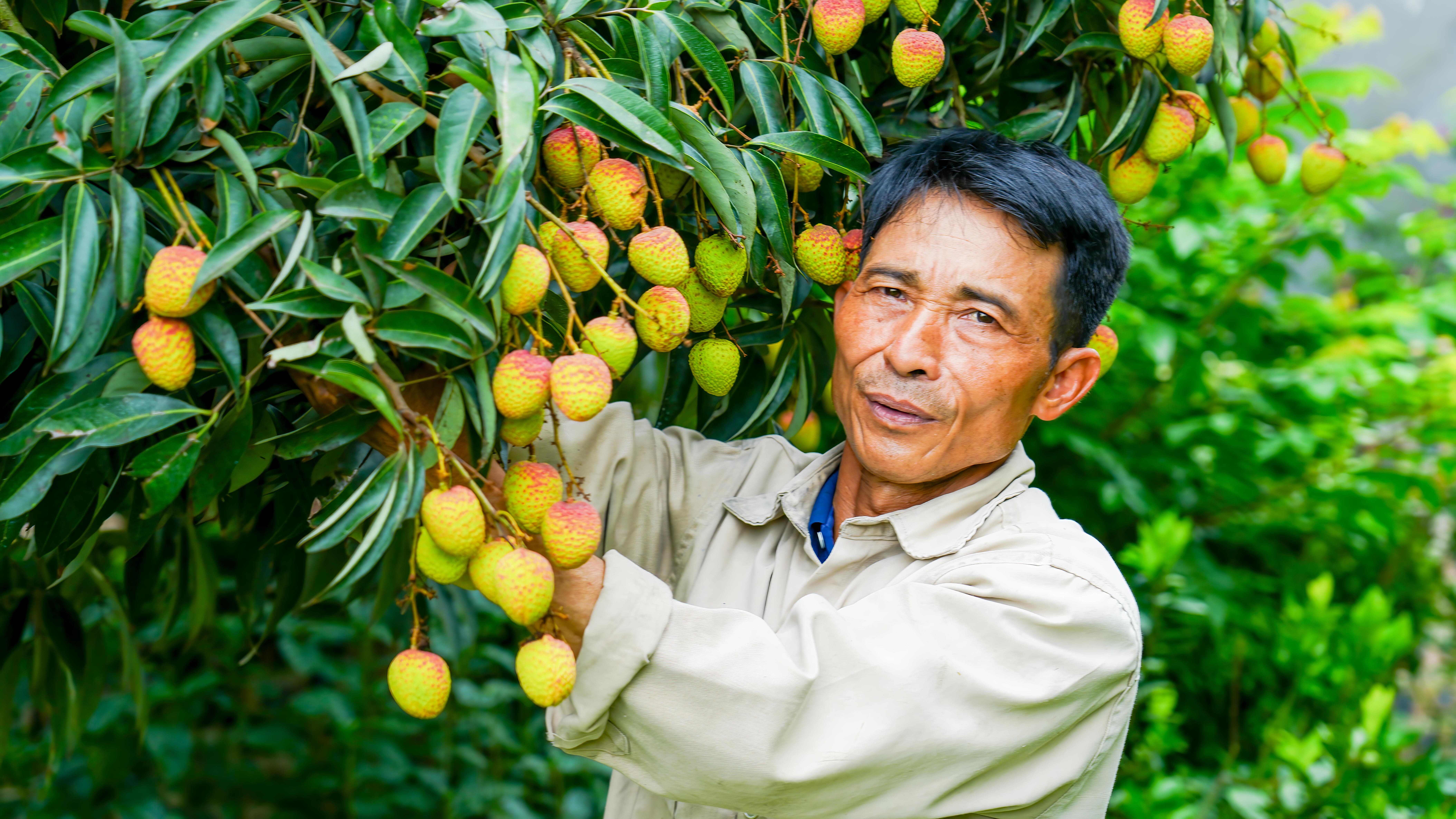 ang-nguyan-van-la-ngaeai-ta-n-taot-vaeaen-laan-vaeapst-kha3-nha-trang-cacy-vaopsi-1748910898.jpg
