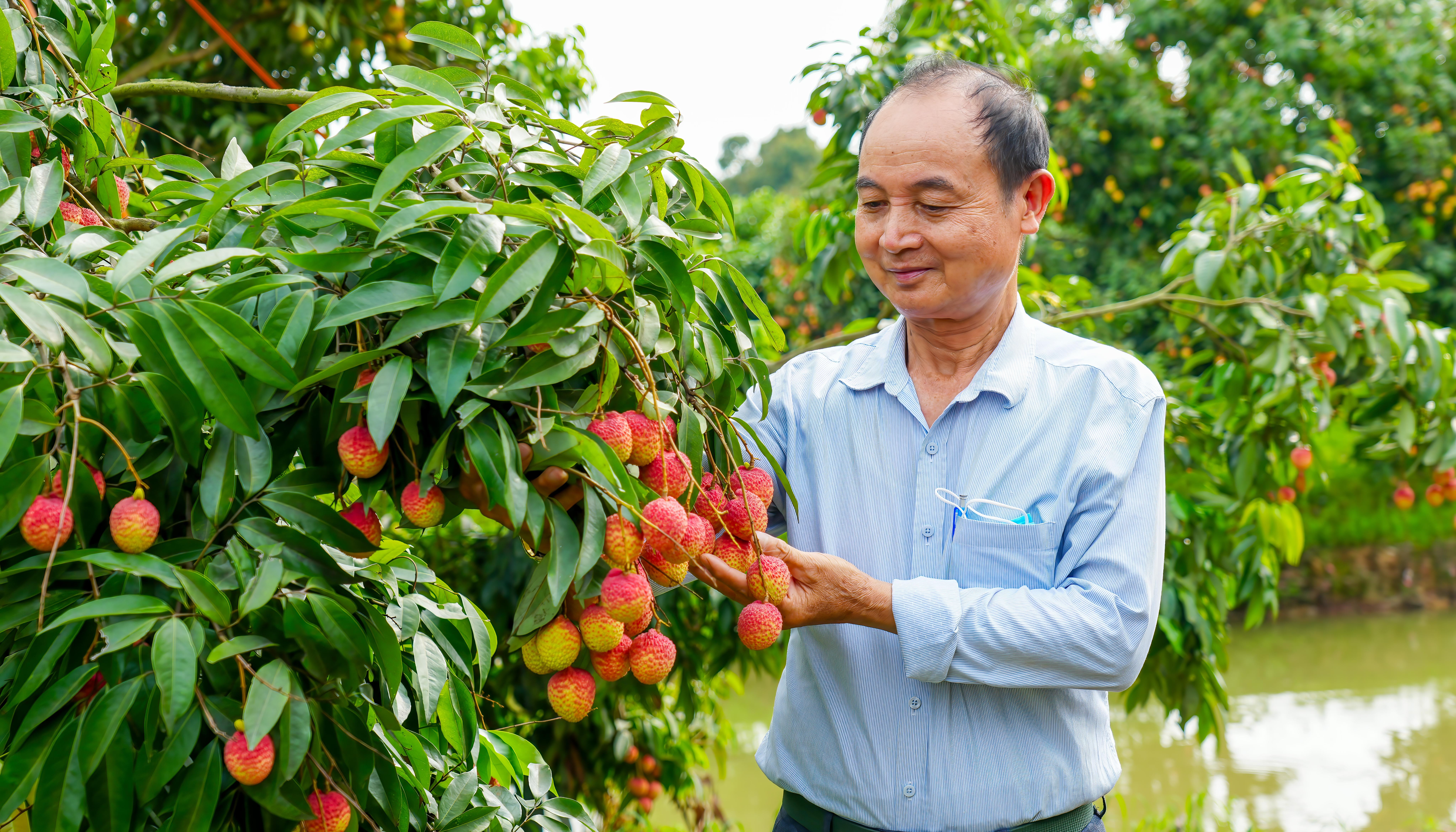 ang-traon-van-minh-chut-tach-ccb-xa-phan-sao-nam-1748910880.jpg