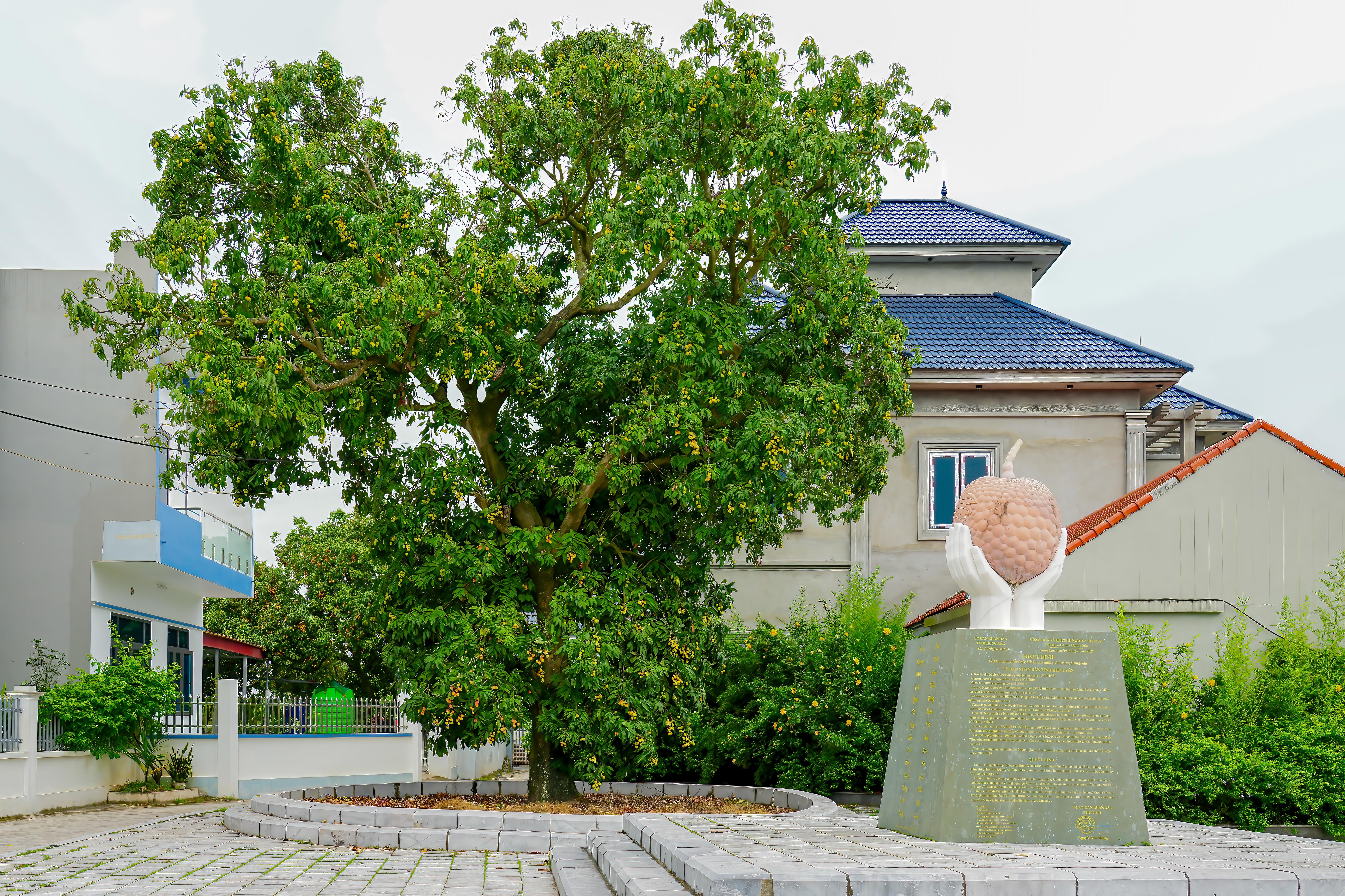 cacy-vaopsi-ta-1748910807.jpg