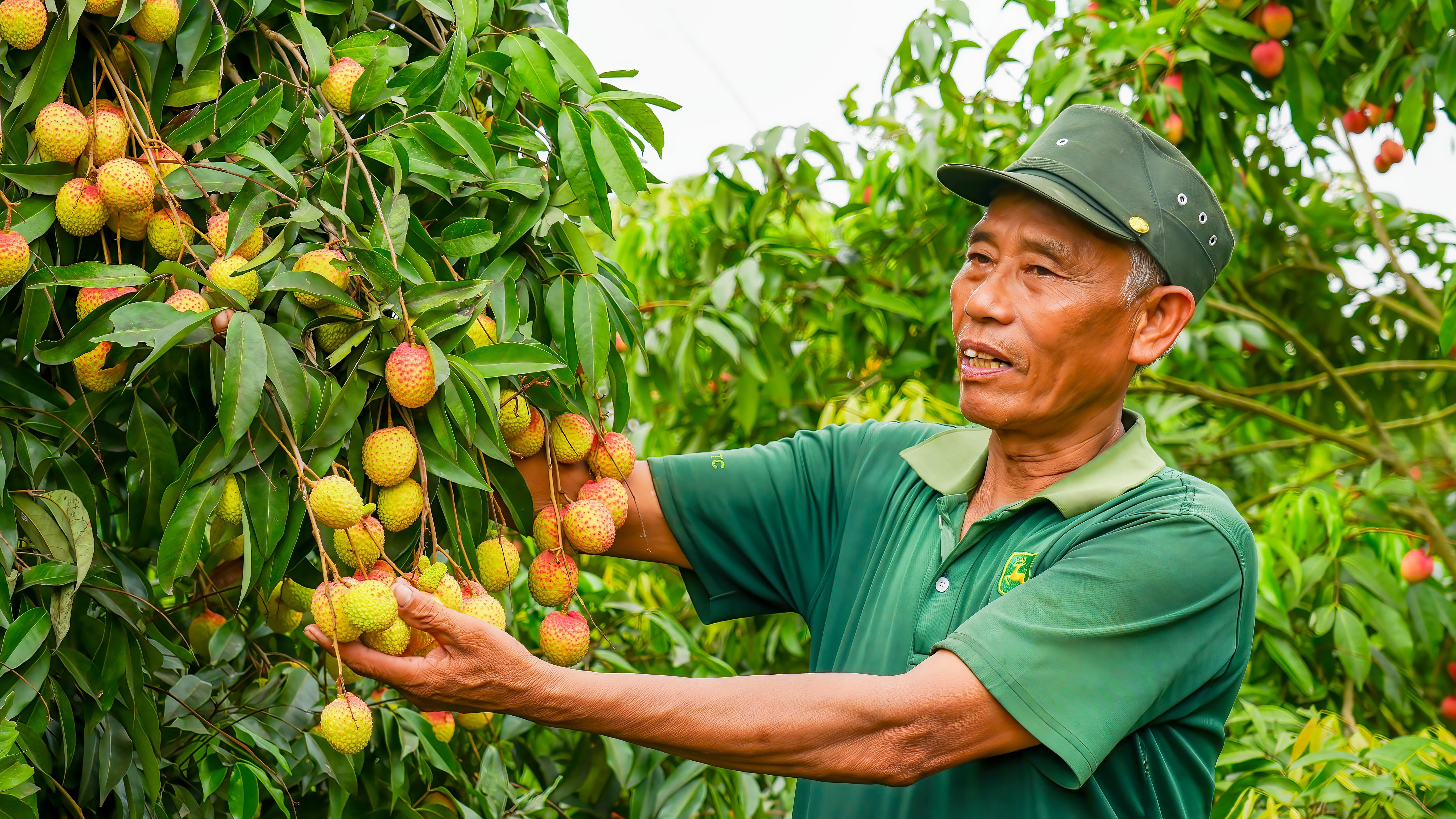 ccb-mai-van-huan-1748910778.jpg