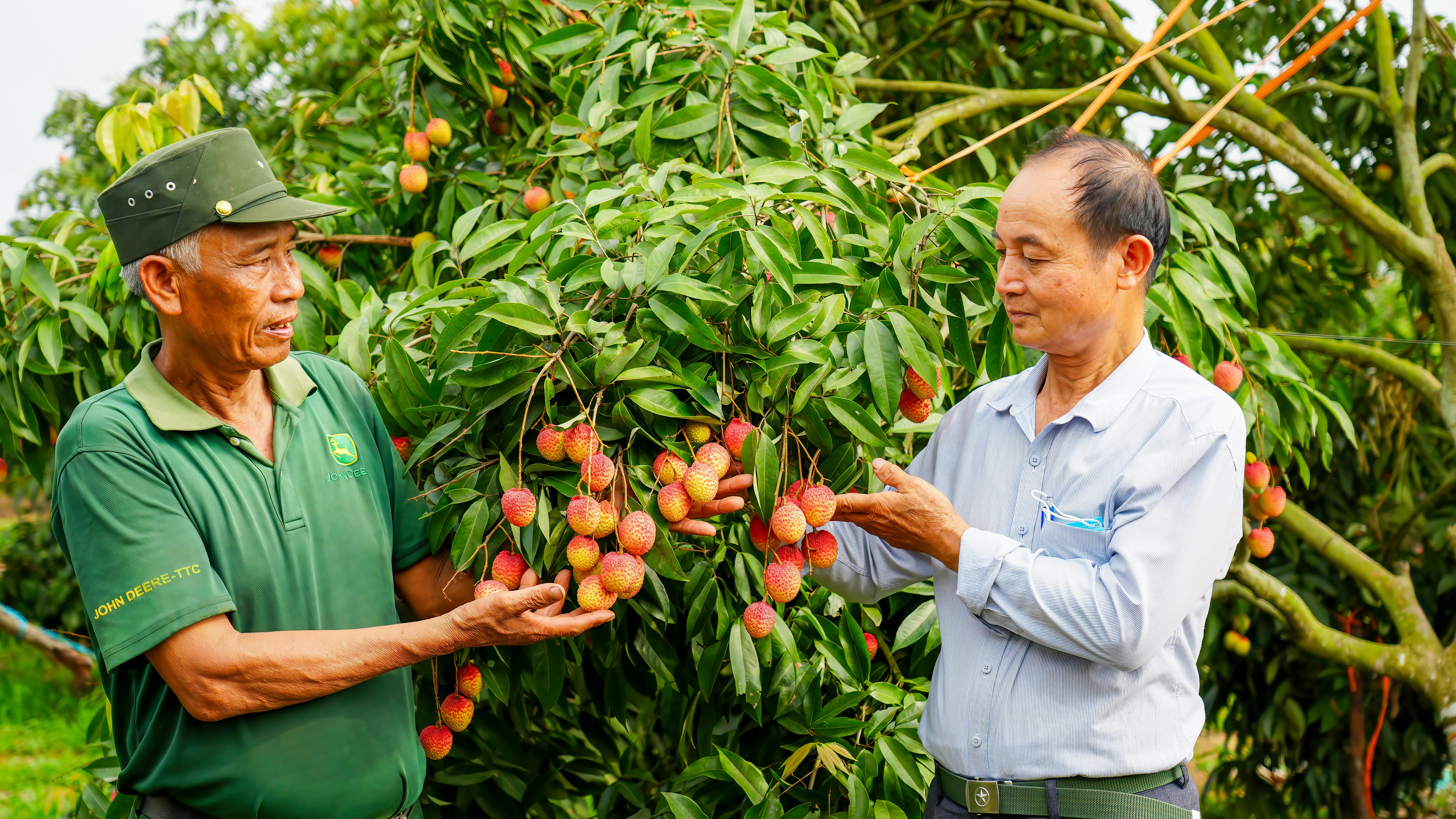 ccb-mai-van-huan-ccb-traon-van-minh-1748910791.jpg