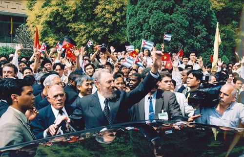 img-2979-1781918054.jpeg