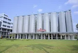 Lợi nhuận Q1 tăng 56% tạo nền tảng giúp SABECO bám sát mục tiêu 2026