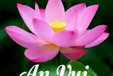 CẨM NANG DƯỠNG SINH AN VUI: BÍ QUYẾT TRƯỜNG THỌ TỪ GỐC RỄ THÂN - TÂM