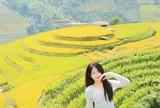 Hồ Quỳnh Hương (Út Hương) – Nhà sáng tạo nội dung trẻ ghi dấu ấn trên TikTok
