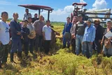 Từ cánh đồng lúa Việt Nam đến bình minh đổi mới của Cuba: Tầm nhìn chiến lược và khát vọng tự cường