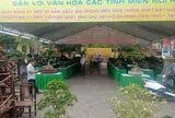 CLB Cây cảnh nghệ thuật Xứ Đoài tổ chức Triển lãm “Hương Sắc Sơn Tây”