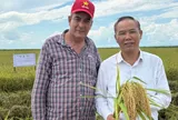 Hạt gạo nghĩa tình: Sứ mệnh an ninh lương thực và cam kết chiến lược của lãnh đạo Việt Nam - Cuba