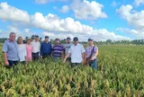 Hạt gạo nghĩa tình: Sứ mệnh an ninh lương thực và cam kết chiến lược từ tầm vóc lãnh đạo Việt Nam – Cuba (Bài 16)