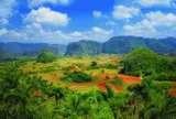 Sự đồng điệu văn hóa Việt Nam - Cuba: Từ cội nguồn sinh tồn đến khát vọng vươn mình
