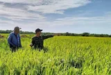 Dấu ấn hợp tác chiến lược Việt Nam - Cuba: Vững bước từ vựa lúa 25.000 ha đến tầm nhìn năng lượng xanh tương lai