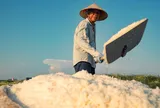 Đặc thù sinh thái, không gian văn hóa và tầm nhìn phát triển bền vững diêm nghiệp miền Bắc (Bài 03)