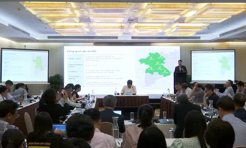 Hợp tác công tư: Chìa khóa phát triển bền vững ngành lúa gạo tại Đồng bằng Sông Cửu Long