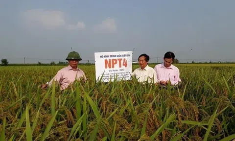 Hội Khoa học Phát triển Nông thôn Việt Nam: Hành trình gần hai thập kỷ vun trồng nền nông nghiệp sinh thái và nông thôn đáng sống