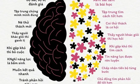 Tư duy kiến tạo cuộc đời: Chuyển đổi từ nạn nhân sang người lãnh đạo bản thân