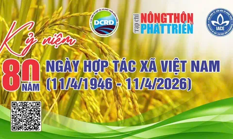 Hành trình 80 năm HTX Việt Nam (11/4/1946 - 11/4/2026: Tự cường, Đổi mới và Khát vọng kinh tế sinh thái toàn cầu - Bài 17