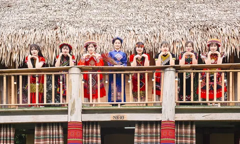 Tìm về điểm đến du lịch Cuc Phuong Village: "Tọa Độ" nhà sàn view rừng gắn kết, góc check-in đậm chất thơ và trải nghiệm retreat đúng nghĩa giữa đại ngàn