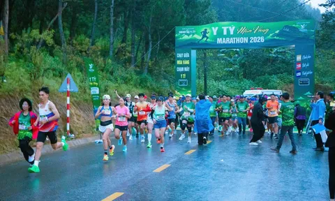 Y Tý Mùa Vàng Marathon 2026: Chạy giữa mùa vàng, kết nối những giá trị vùng cao