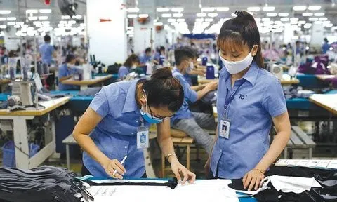 Hà Nội: Tỉ lệ lao động đã qua đào tạo năm 2022 đạt 72,23%