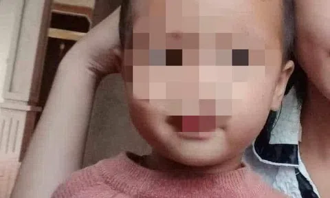 Lời kể của người phát hiện bé trai 2 tuổi mất tích bí ẩn ở Nghệ An