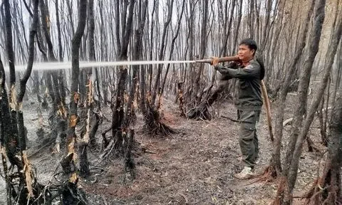 Kiên Giang: Hơn 370ha rừng bị cháy ở Giang Thành