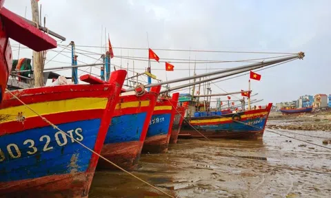 Thanh Hóa: Xử lý nghiêm tàu cá vi phạm quy định về IUU