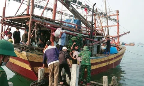 Quảng Bình đề nghị hỗ trợ tìm kiếm 11 người mất tích trên biển