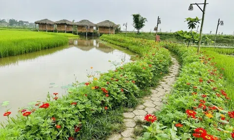 Nông nghiệp hữu cơ phát triển kinh tế ven đô Thành phố Hà Tĩnh