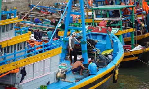 Bình Thuận: Tàu cá bị chìm sau va chạm, 4 thuyền viên may mắn an toàn