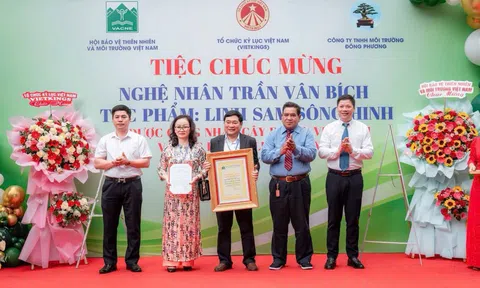 Cây Linh sam sông Hình đi vào huyền thoại