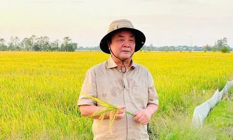 Trí thức nâu - Những người gieo chữ giữa đồng