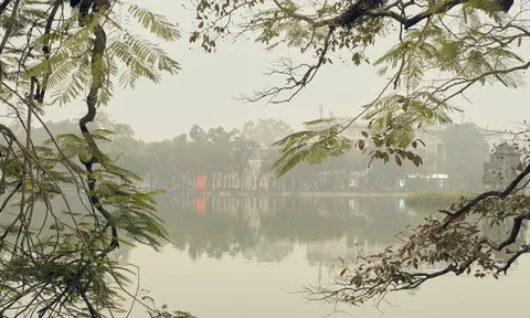 Triển lãm Little Hanoi, Next Generation