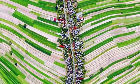 Xuất khẩu nông sản: Chiến lược chuyển đổi từ số lượng sang giá trị bền vững