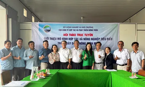 HTX Nông nghiệp Tân Bình: Thành tựu đột phá và bài học cho HTX Nông nghiệp kiểu mới