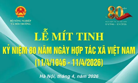 CHƯƠNG TRÌNH KỶ NIỆM 80 NĂM NGÀY HTX VIỆT NAM (11/4/1946 - 11/4/2026)