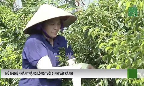 Nữ Nghệ nhân Sinh Vật Cảnh giàu lòng đam mê