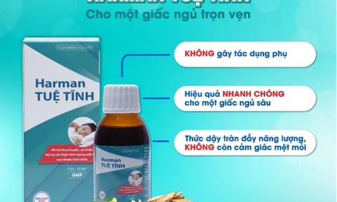 Harman Tuệ Tĩnh chính thức có mặt tại Châu Âu