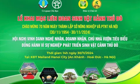 Một số tác phẩm cây cảnh hướng về Liên hoan Sinh Vật Cảnh Thủ đô 2024