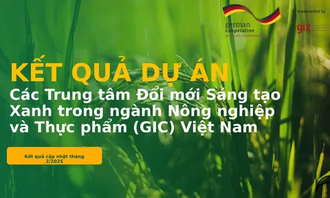 EBOOK: Kết quả Dự án các trung tâm Đổi mới sáng tạo xanh trong ngành nông nghiệp và thực phẩm (GIC) tại Việt Nam