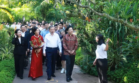 Singapore vinh danh Tổng Bí thư Tô Lâm với loài hoa lan mang tên "Tô Lâm Linh Ly"