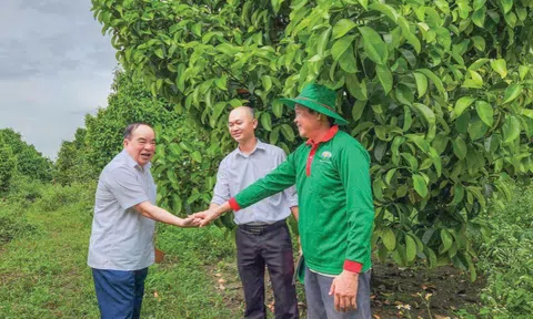 Thủy chung với nông nghiệp tuần hoàn